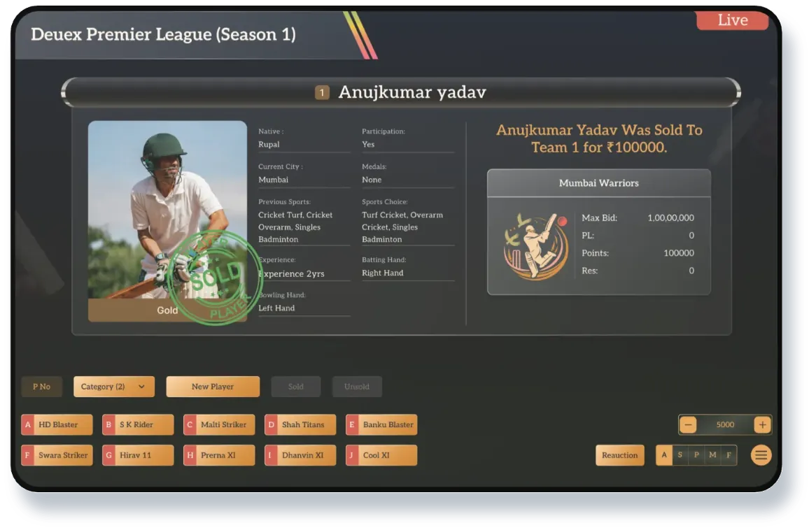 Auction strategy software interface